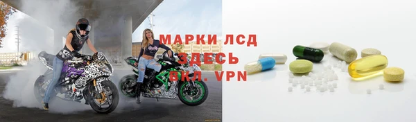 альфа пвп Гусев