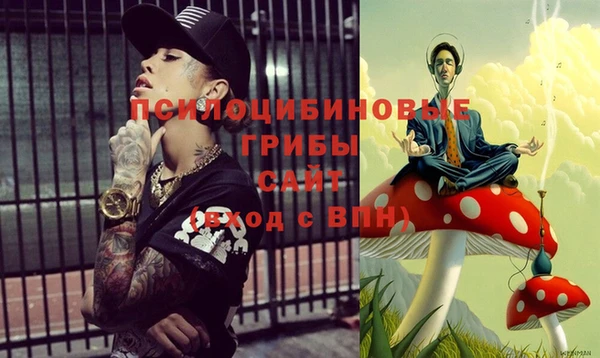 Альфа ПВП Горнозаводск