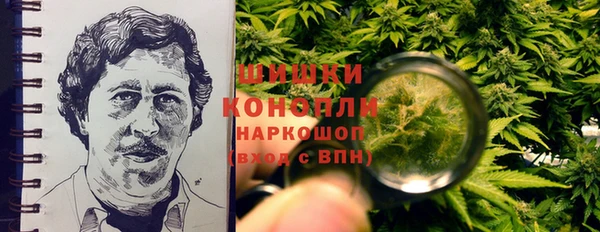 эйфоретик Горняк