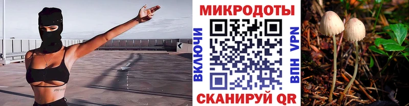 Псилоцибиновые грибы Cubensis  hydra ссылка  дарк нет наркотические препараты  как найти наркотики  Дюртюли 